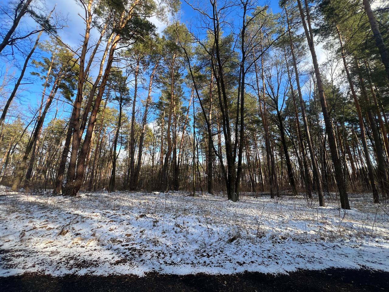 Стоянка вул.Житомирська 12 соток - Зображення 3