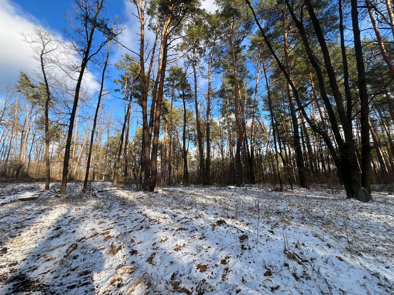 Стоянка вул.Житомирська 12 соток - Зображення 4