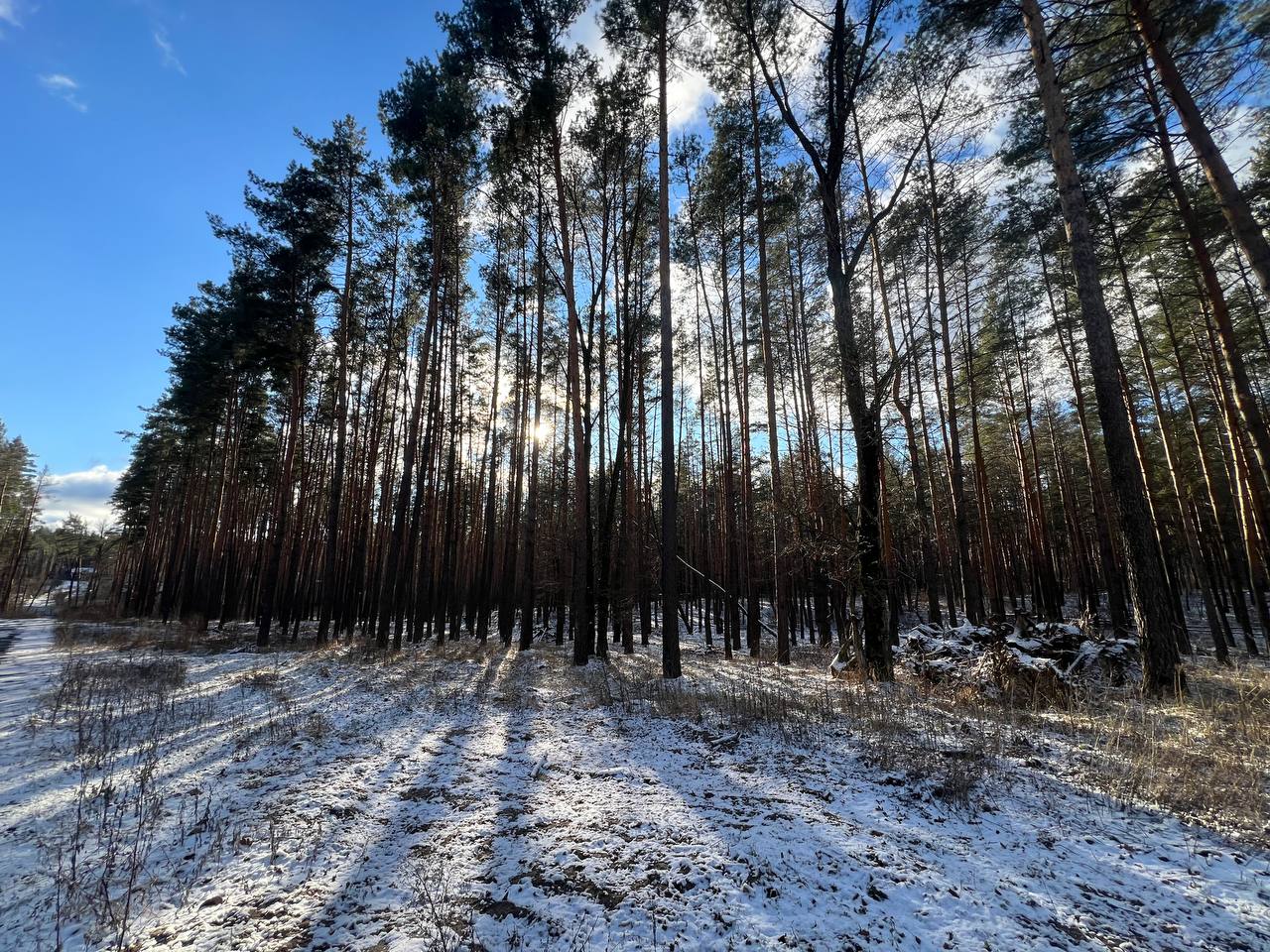 Стоянка вул.Житомирська 12 соток - Зображення 7