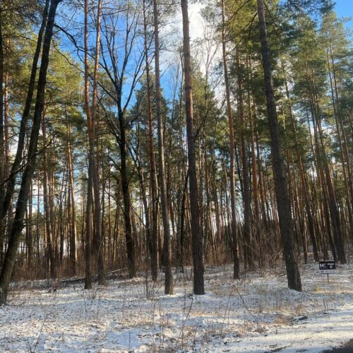 Стоянка вул.Житомирська 12 соток