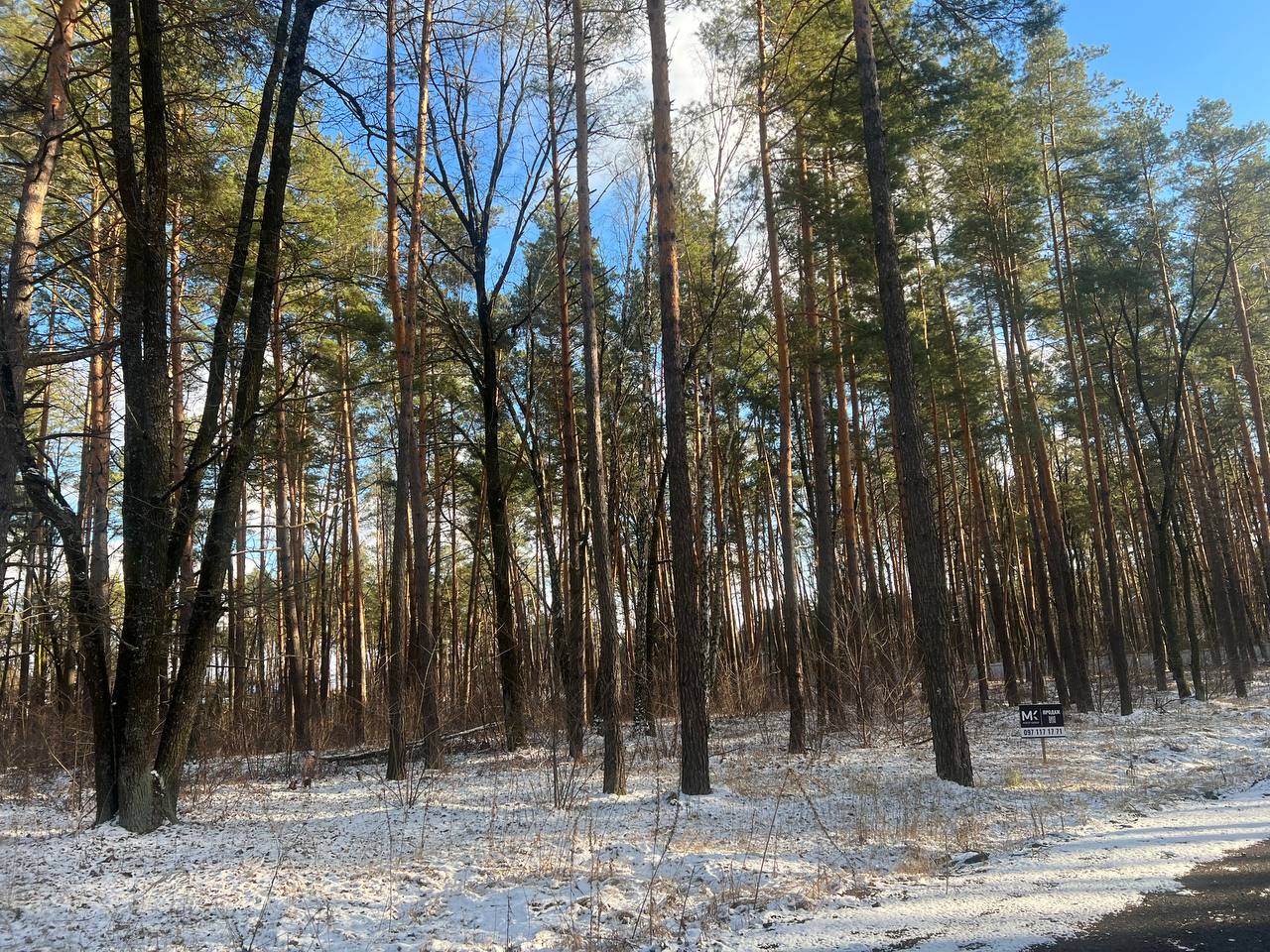 Стоянка вул.Житомирська 12 соток