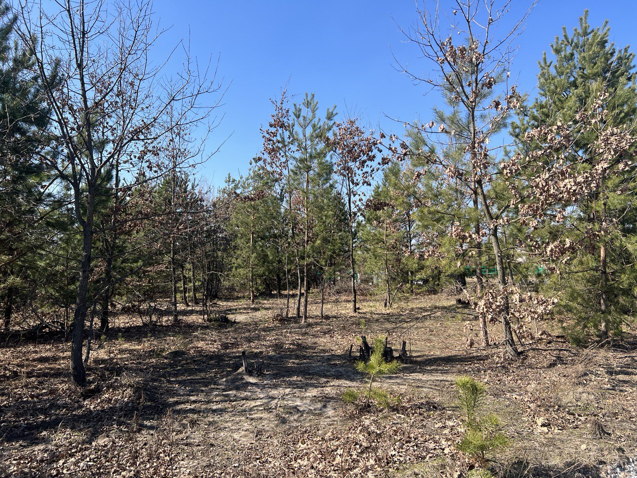 Земельна ділянка с. Мила 8.5 соток - Зображення 2