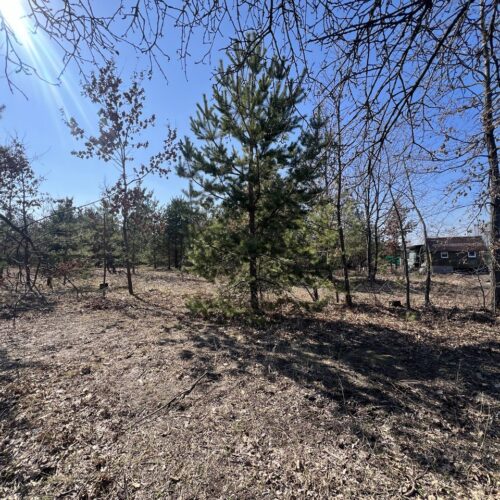 Земельна ділянка с. Мила 8.5 соток