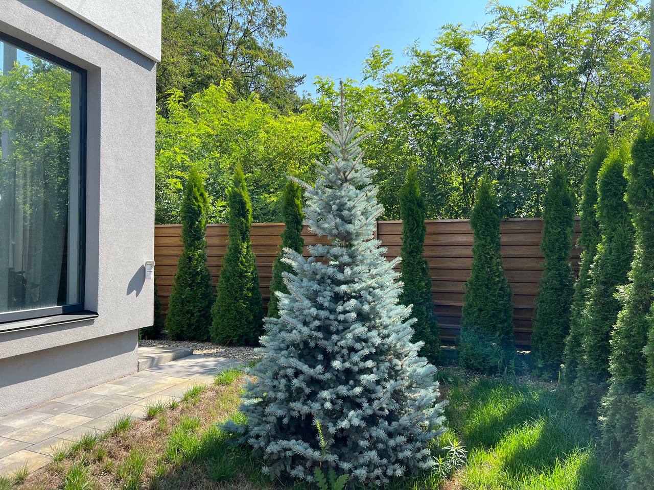 Гореничі Приватний Будинок з дизайнерським ремонтом - Зображення 62