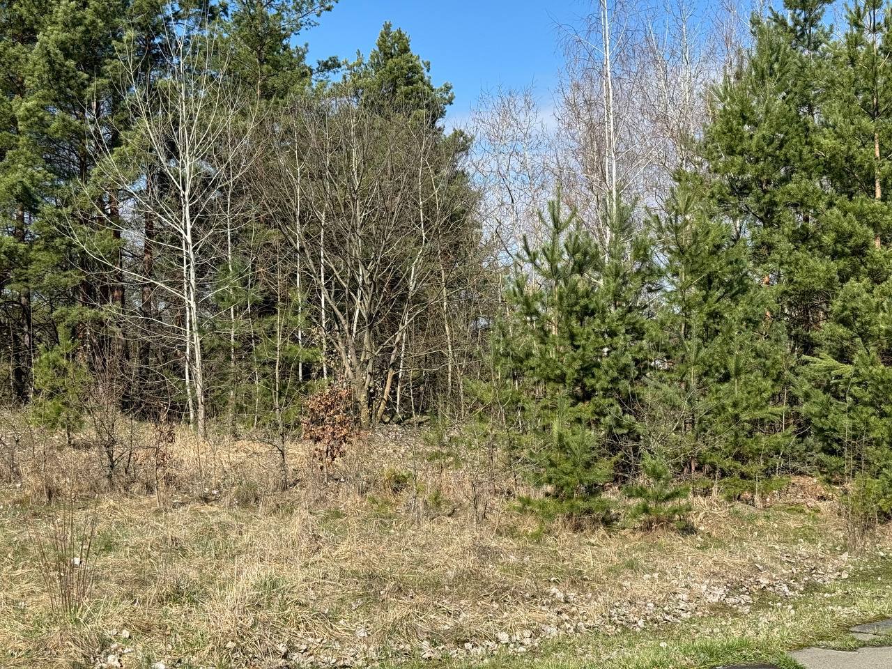 Ділянка в с. Ярошівка , Фастівський р-он - Зображення 10