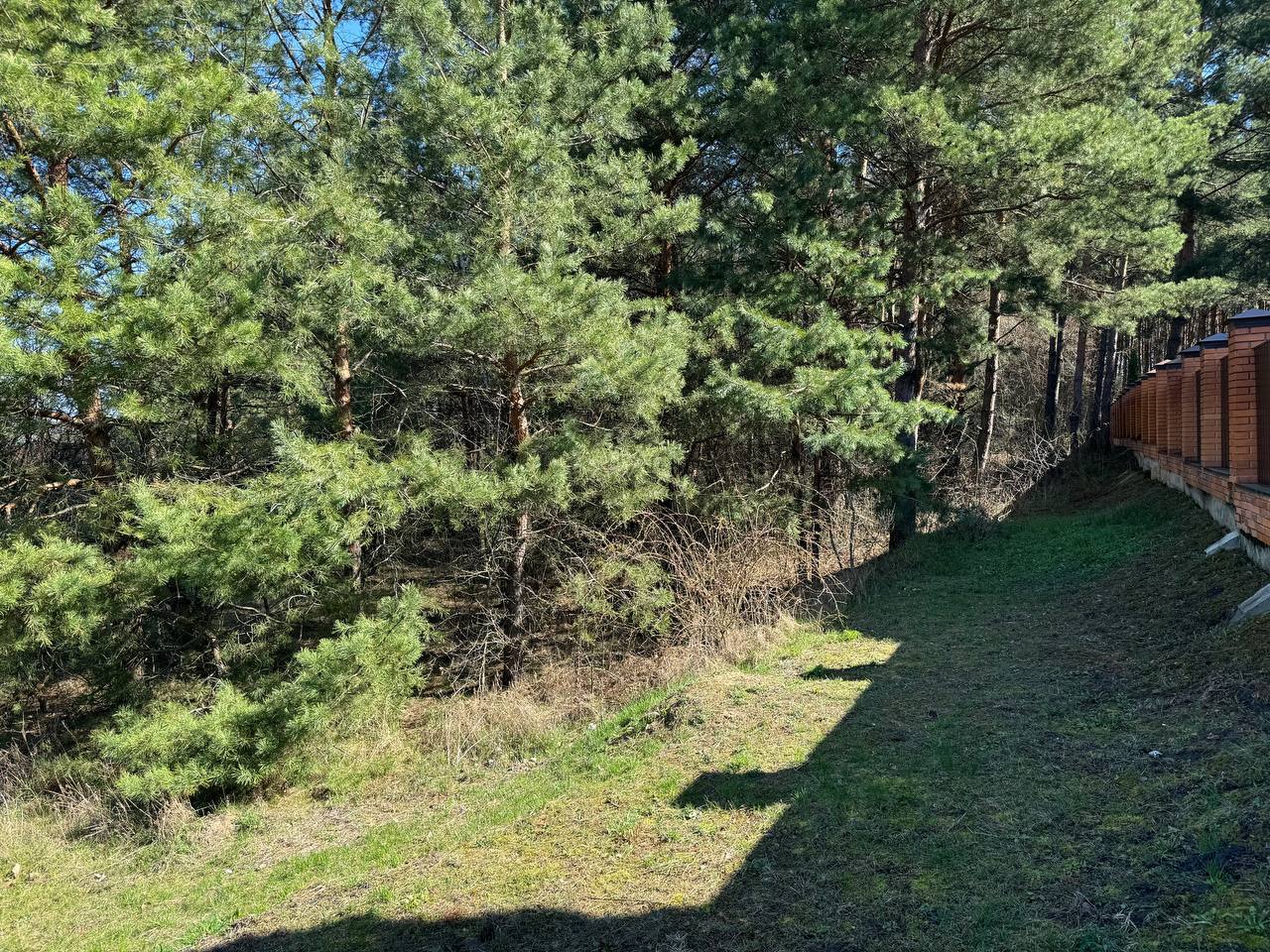 Ділянка в с. Ярошівка , Фастівський р-он - Зображення 6