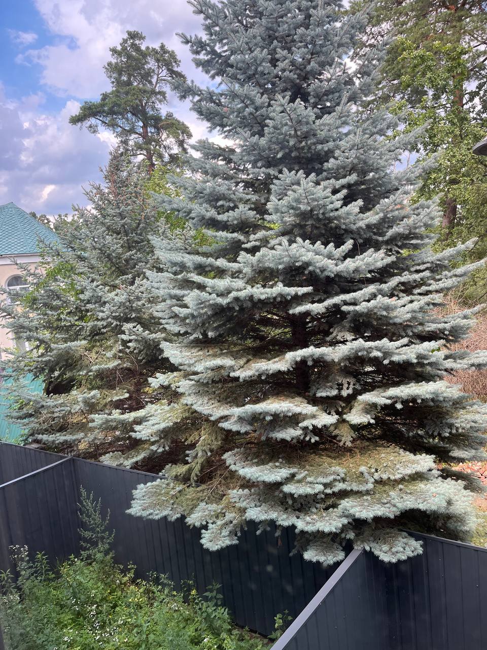 Таунхаус в м. Ірпінь Вулиця Ярославська - Зображення 4