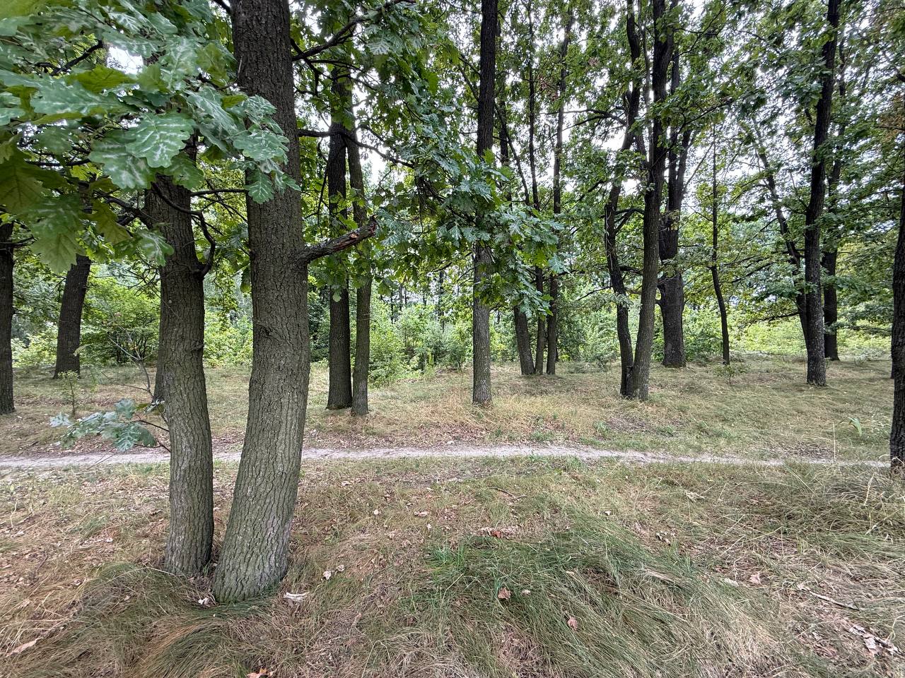 Двоповерховий будинок Тарасівка - Зображення 3