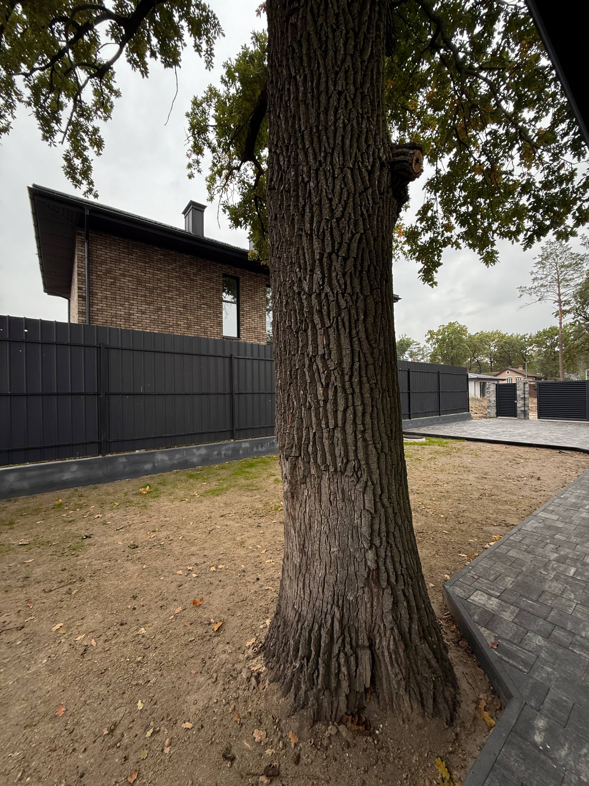 Лісова Буча Одноповерховий будинок з терасою і неймовірним дубом. - Зображення 8