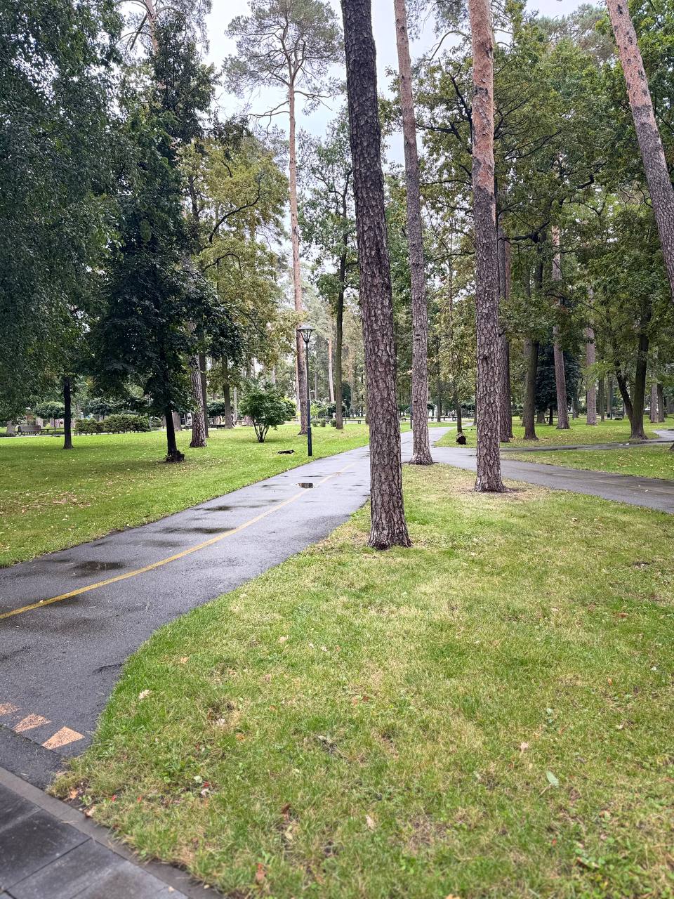 1-кімнатна квартира в ЖК “Art Resident”, Ірпінь - Зображення 3