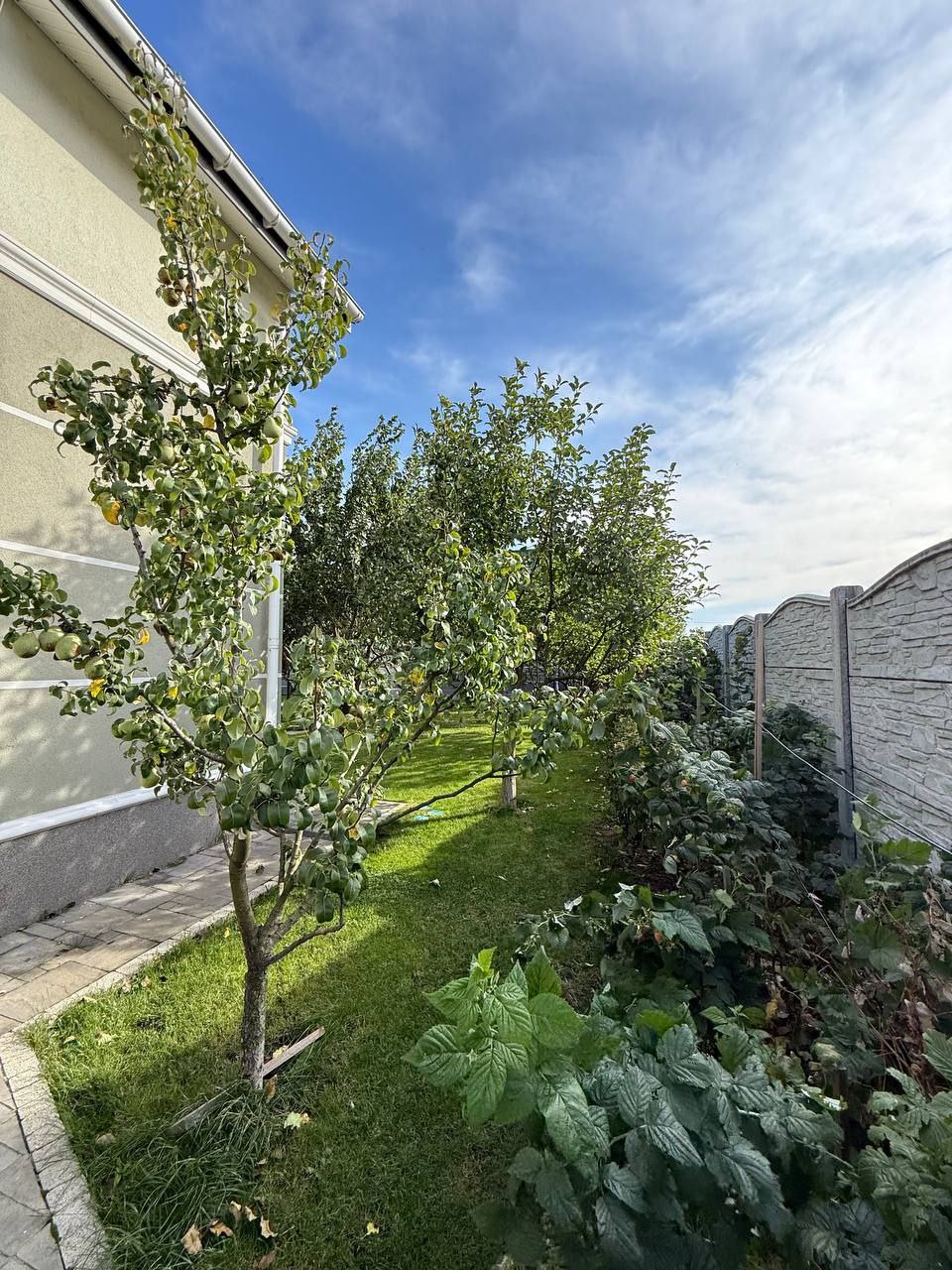 🏡 Просторий будинок у Макарові - Зображення 10