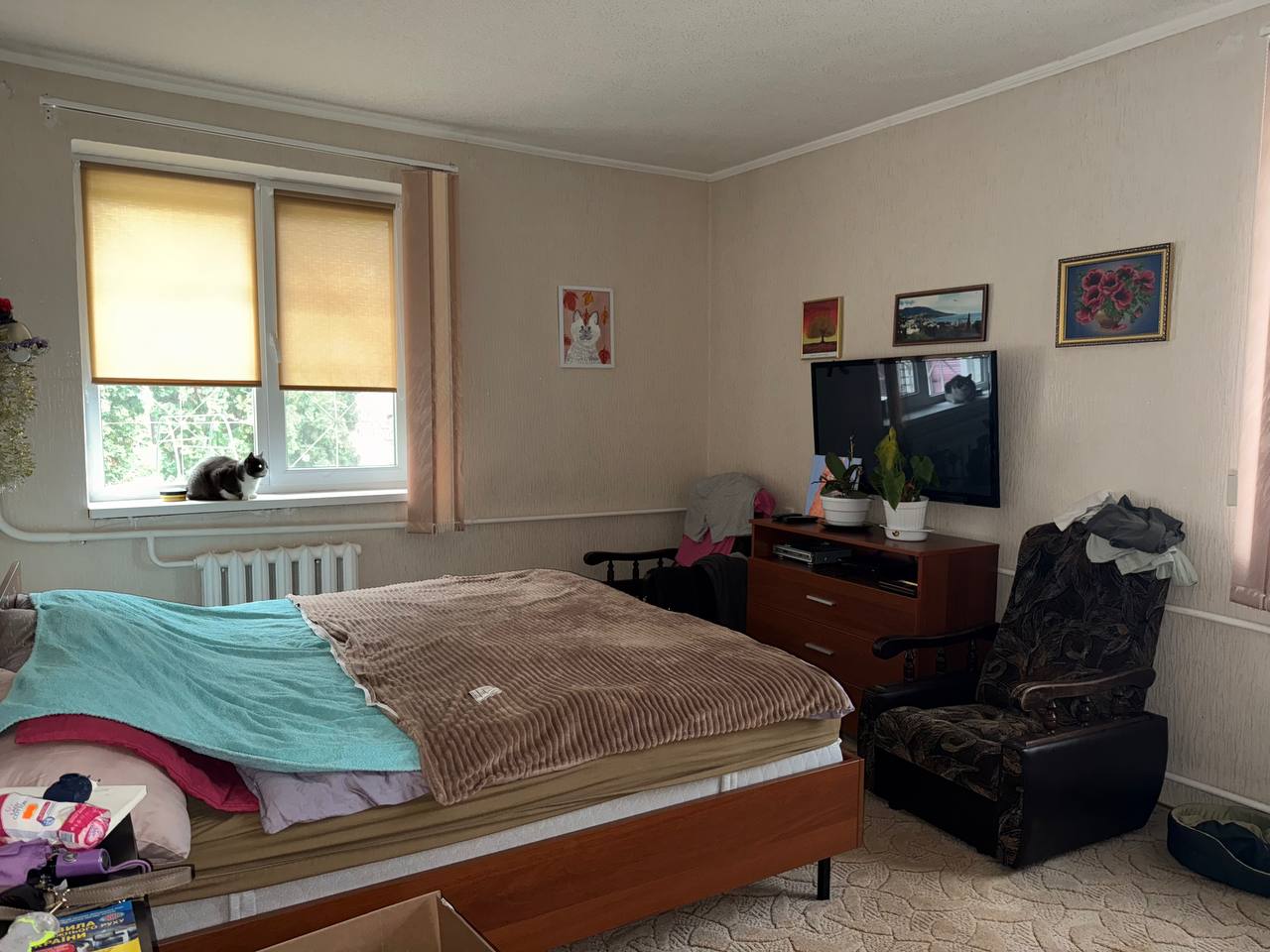 πΠΠ°ΠΊΠ°ΡΡΠ², ΠΡΠ΄ΠΈΠ½ΠΎΠΊ Π· ΡΠ΅ΠΌΠΎΠ½ΡΠΎΠΌ ΡΠ° 45 ΡΠΎΡΠΊΠ°ΠΌΠΈ Π·Π΅ΠΌΠ΅Π»ΡΠ½ΠΎΡ Π΄ΡΠ»ΡΠ½ΠΊΠΈ - ΠΠΎΠ±ΡΠ°ΠΆΠ΅Π½Π½Ρ 11