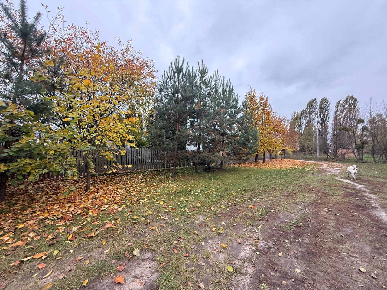 πΠΠ°ΠΊΠ°ΡΡΠ², ΠΡΠ΄ΠΈΠ½ΠΎΠΊ Π· ΡΠ΅ΠΌΠΎΠ½ΡΠΎΠΌ ΡΠ° 45 ΡΠΎΡΠΊΠ°ΠΌΠΈ Π·Π΅ΠΌΠ΅Π»ΡΠ½ΠΎΡ Π΄ΡΠ»ΡΠ½ΠΊΠΈ - ΠΠΎΠ±ΡΠ°ΠΆΠ΅Π½Π½Ρ 29