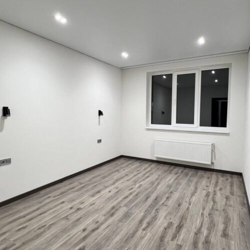 🏡 Будинок з ремонтом та бомбосховищем у с. Гореничі